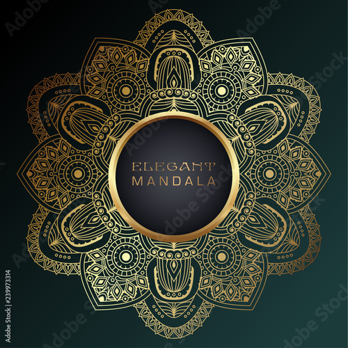 Vector round circle. Mandala style. Decorative element with gold.