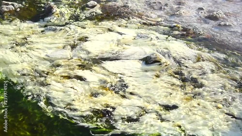 Bacteria Chloroflexus aurantiacus in hot springs, Chae Son National Park , Lampang Thailand