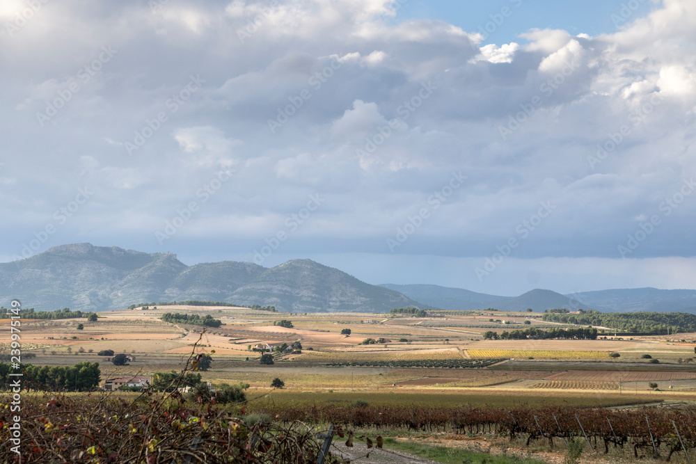 Fototapeta premium Autumn Vineyards and cellars in Fontanars dels Alforins and Moixent Valencia province Spain