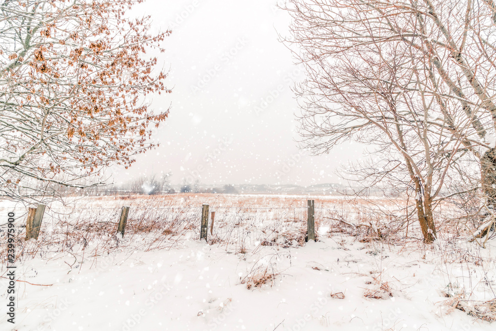 Snow falling on a winter landscape with a wooden fence