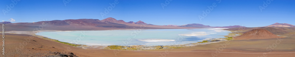 Beautiful green and blue lagoon Laguna Brava, a salt lake in the Argentine Andes, near Paso Pircas Negras, Argentina