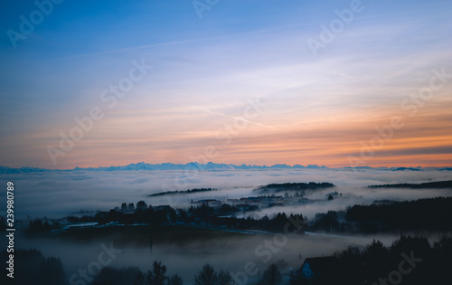 Fototapeta Naklejka Na Ścianę i Meble -  Rickenbach im Nebel