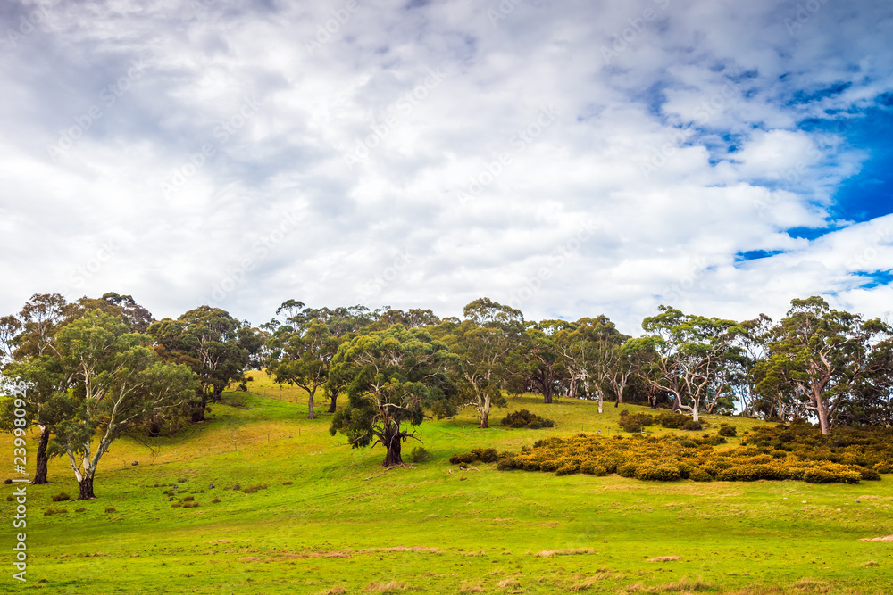 Adelaide Hills local landscape