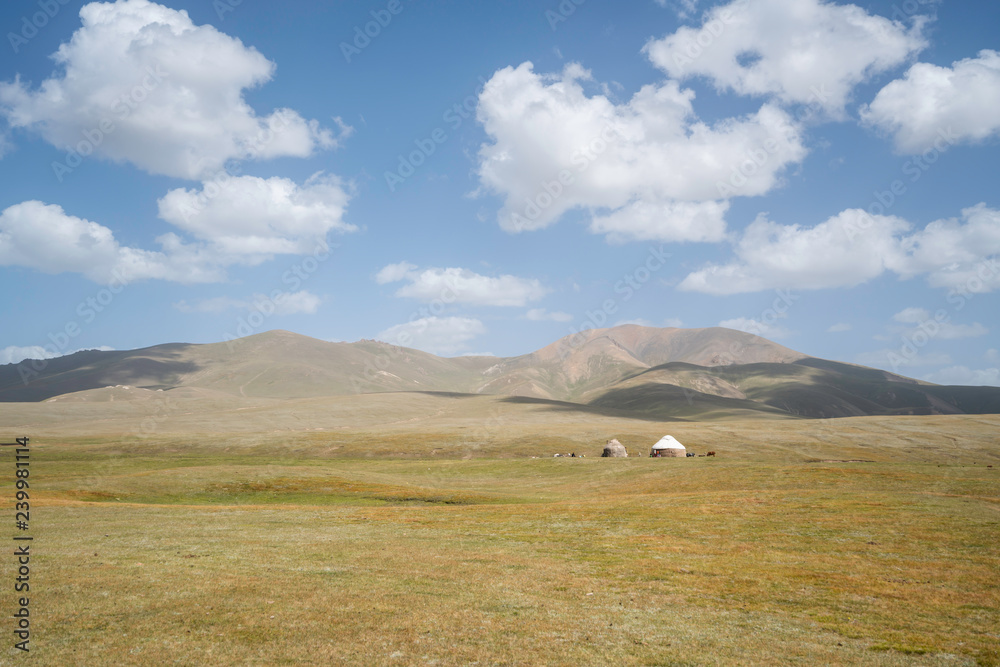 Yurts on the fields of Song Kul Plateau in Kyrgyzstan