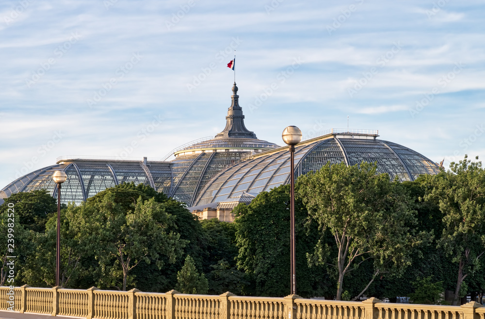 Obraz premium Rear view of Great Palace in Paris, France.