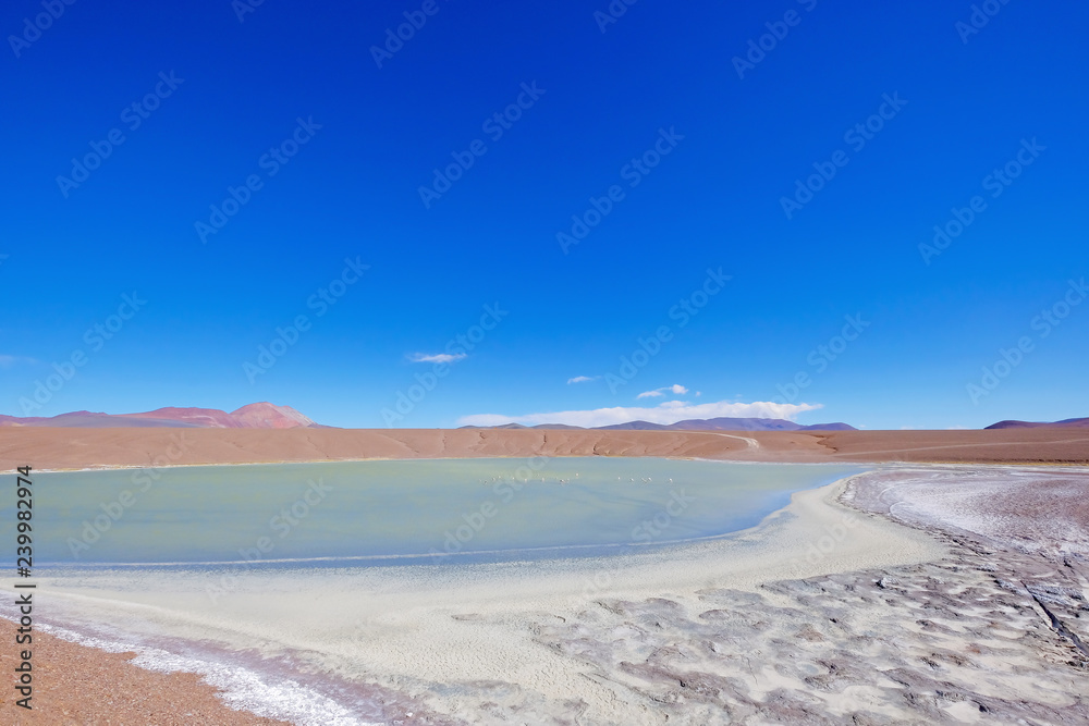 Beautiful green and blue lagoon Laguna Brava, a salt lake in the Argentine Andes, near Paso Pircas Negras, Argentina