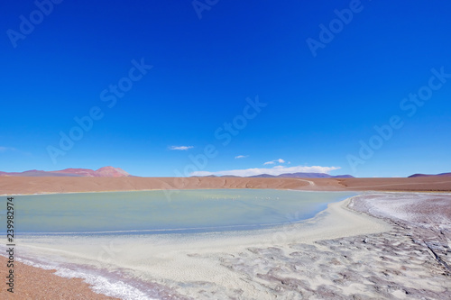 Beautiful green and blue lagoon Laguna Brava, a salt lake in the Argentine Andes, near Paso Pircas Negras, Argentina photo