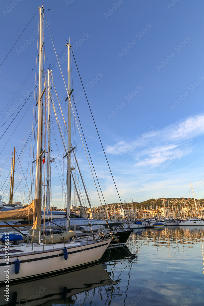 Fototapeta premium sailing boats in the harbor