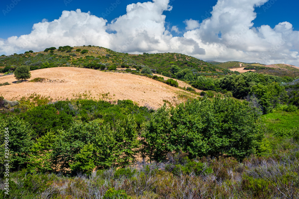 Obraz premium Beautiful mountain landscape of Crete. Greece