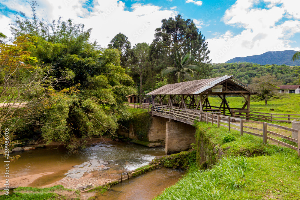Old wooden bridge covered with river, bamboo, lawn, several trees and mountains in the background, blue sky with clouds, Rio dos Cedros, Santa Catarina