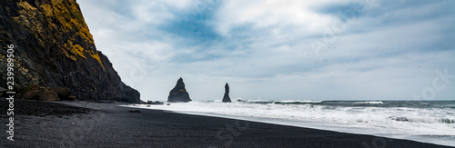 Schwarzer Lavastrand bei Vik in Island