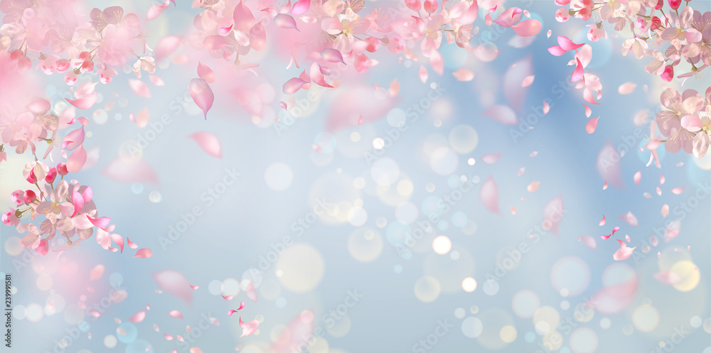 Spring Blossom Background