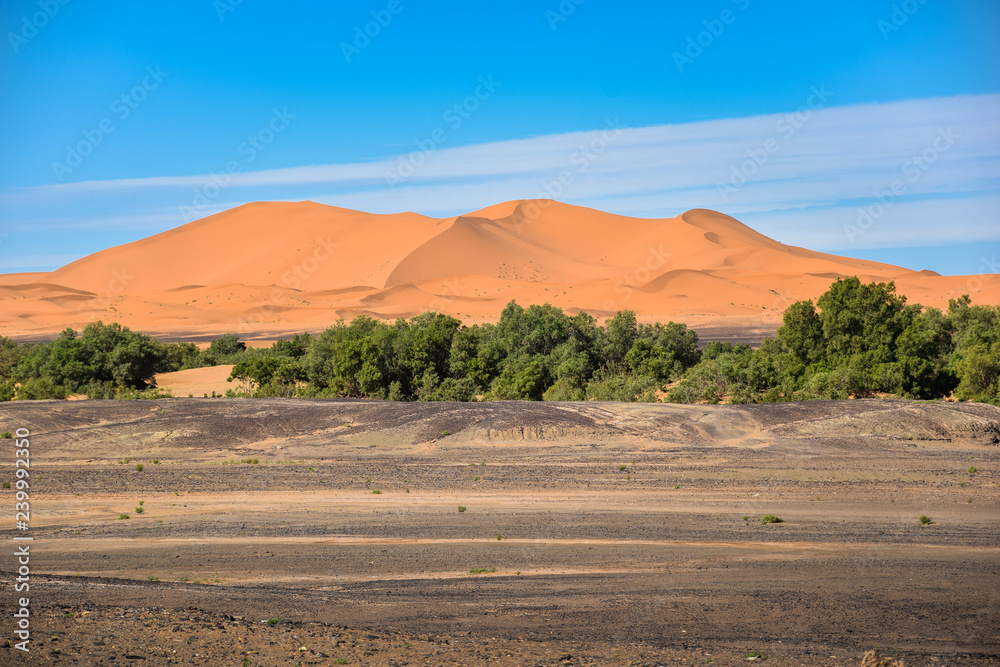 Sahara Desert in Morocco, Merzouga Sahara Desert in Morocco, Merzouga