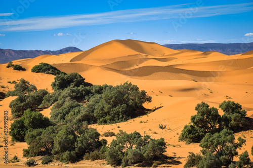 Sahara Desert in Morocco, Merzouga