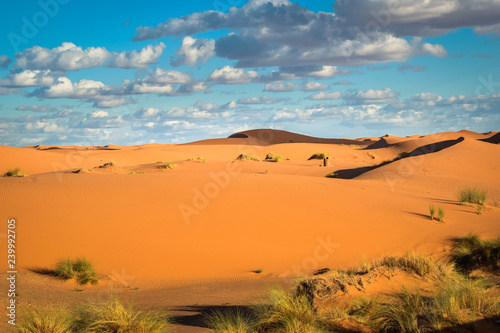 Sahara Desert in Morocco  Merzouga