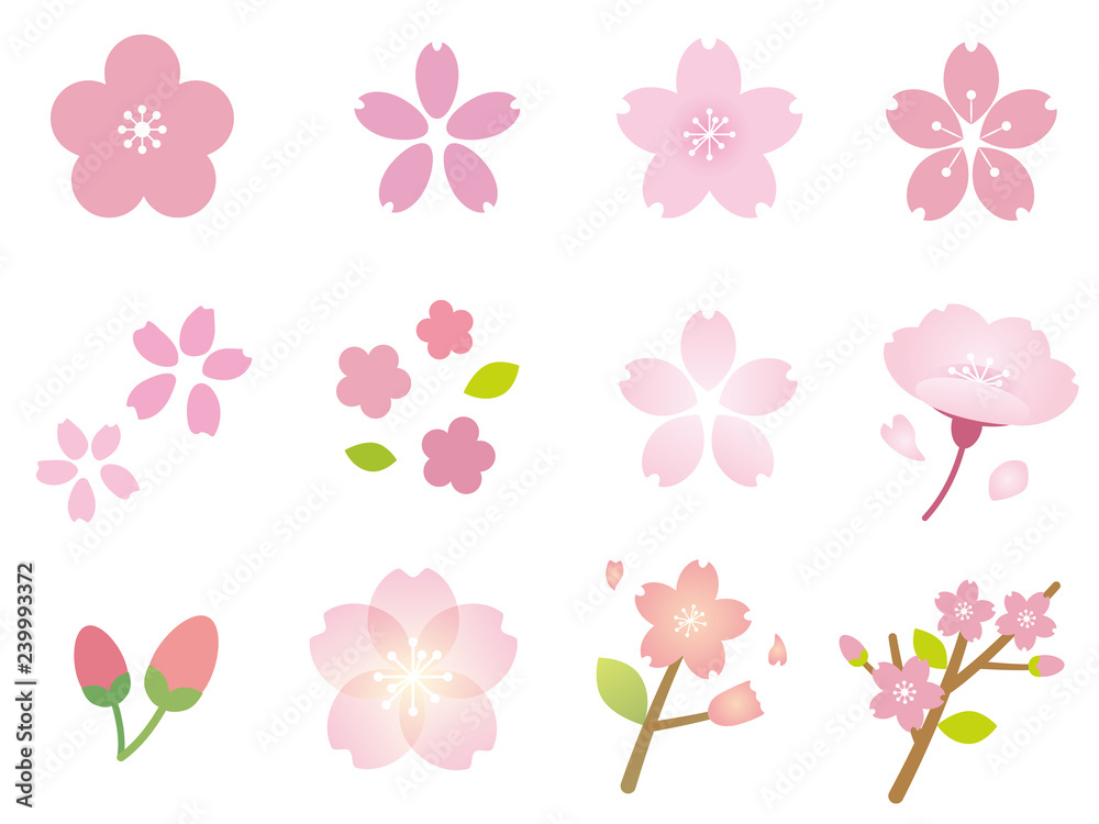 綺麗な桜の花イラストセット Stock ベクター Adobe Stock