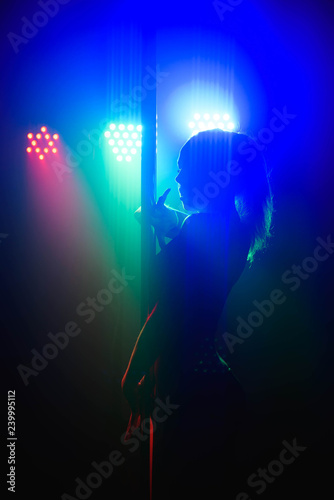 Young slim pole dance woman in bright interior © nagaets