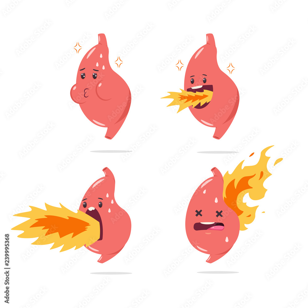 Stomach heartburn vector cartoon character with funny internal organ with fire. Illustration set isolated on white background.