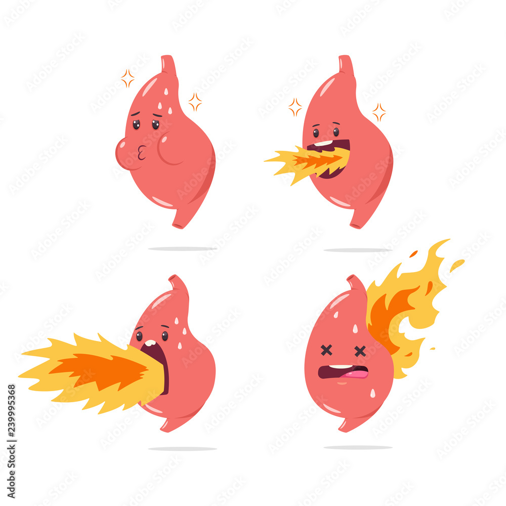 Stomach heartburn vector cartoon character with funny internal organ with  fire. Illustration set isolated on white background. Stock Vector | Adobe  Stock