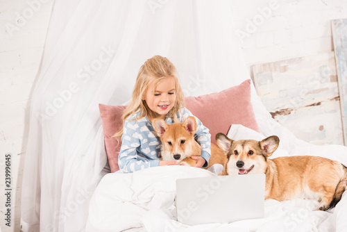 adorable child lying in bed with corgi dogs and using laptop at home