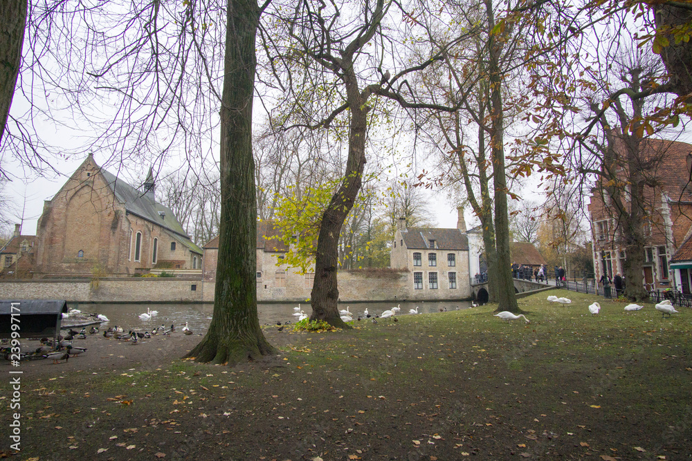 Fairy tale landscape with swans resting - Bruges cityscape panorama, old town facades, medieval gothic and baroque city in Belgium Fairy tale landscape with swans resting - Bruges cityscape panorama, old town facades, medieval gothic and baroque city in Belgium
