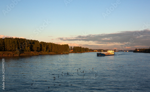 Fototapeta Naklejka Na Ścianę i Meble -  blue cargo ship at sunset