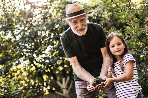 Grandparent with grandchild working in summer garden © Yakobchuk Olena