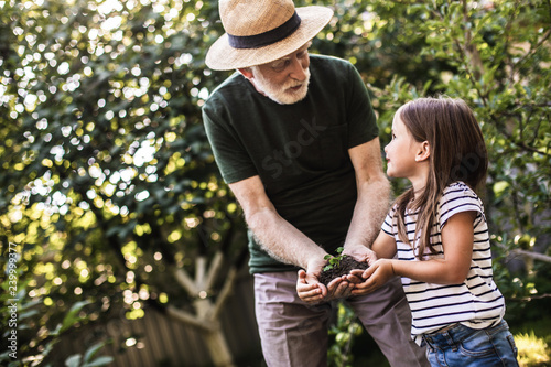 Old man with little girl gardening on their backyard photo