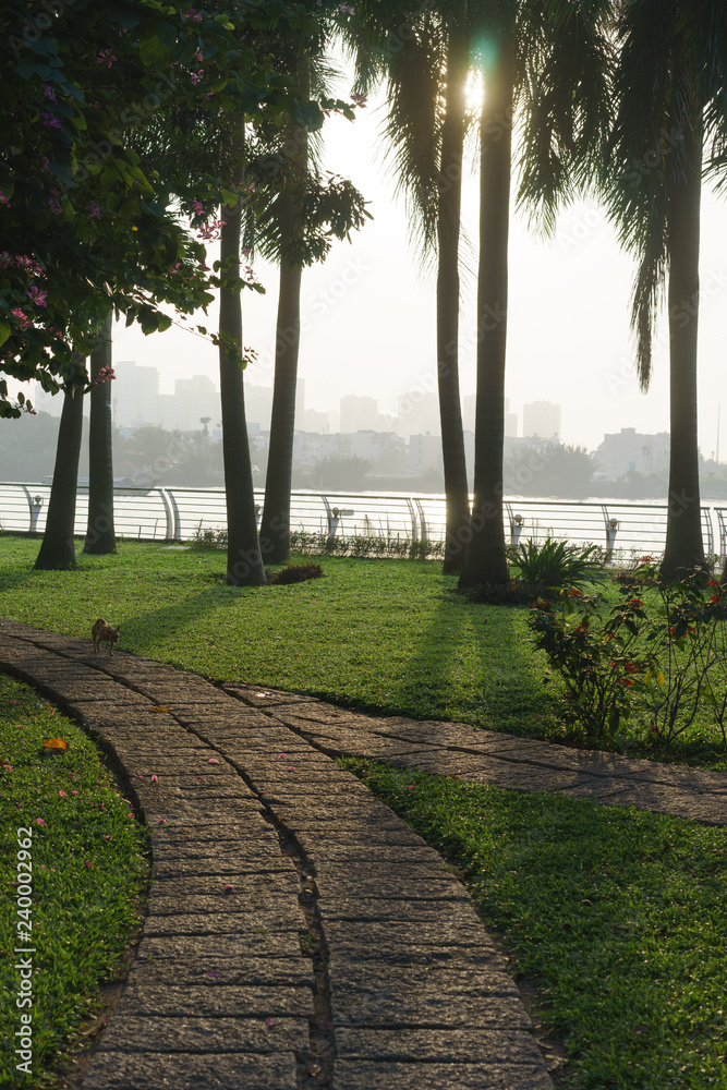 Obraz premium palm trees at park riverside