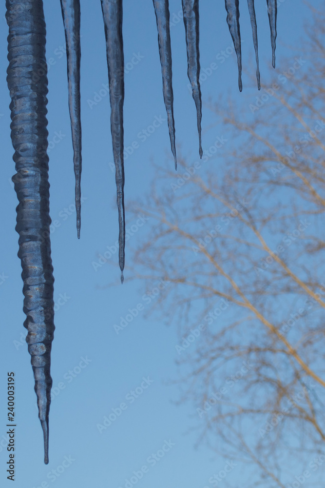 Icicles, city, roof, spring, trees, sky. Icicles, city, roof, spring, trees, sky.