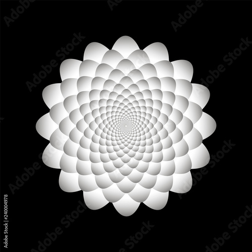 Abstract floral pattern design in black and white colors. Lotus petals