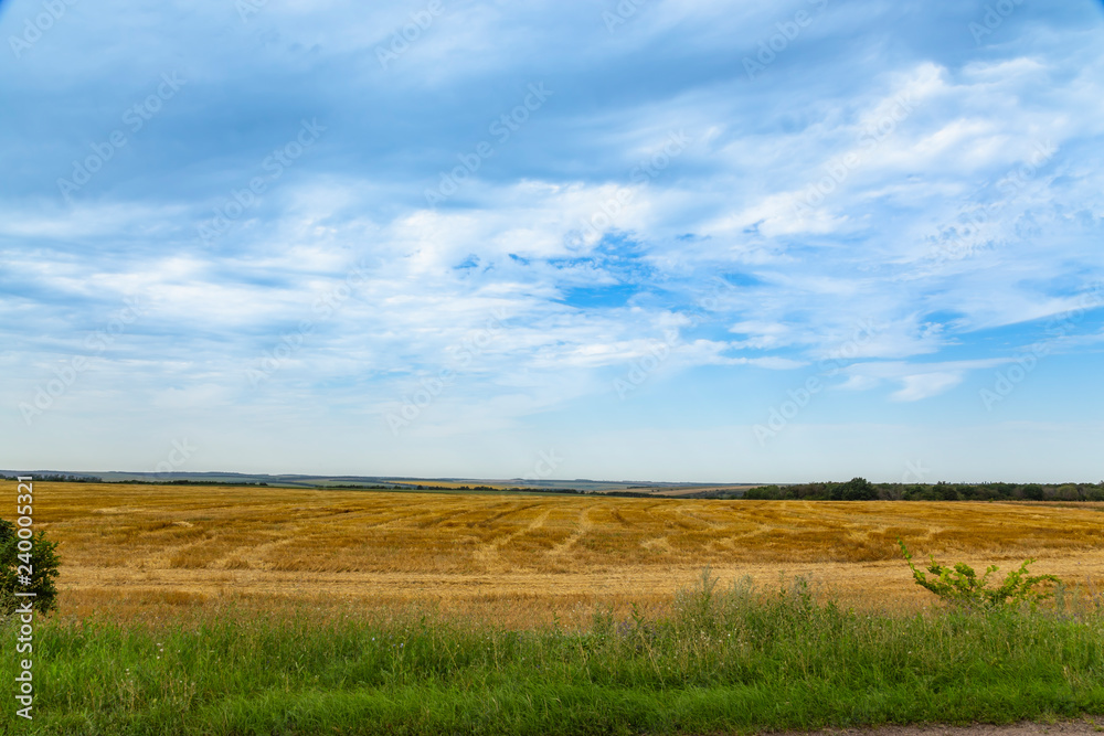 Obraz premium Cut hay in the fields. Harvesting. Bright blue sky and colorful fields in a rural area.