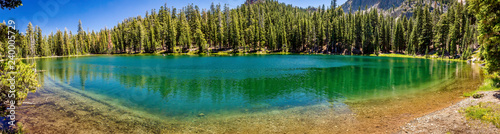 Panoramic Photo of Lake and Trees