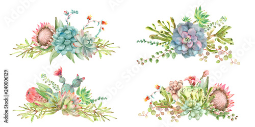 Succulents bouquet watercolor