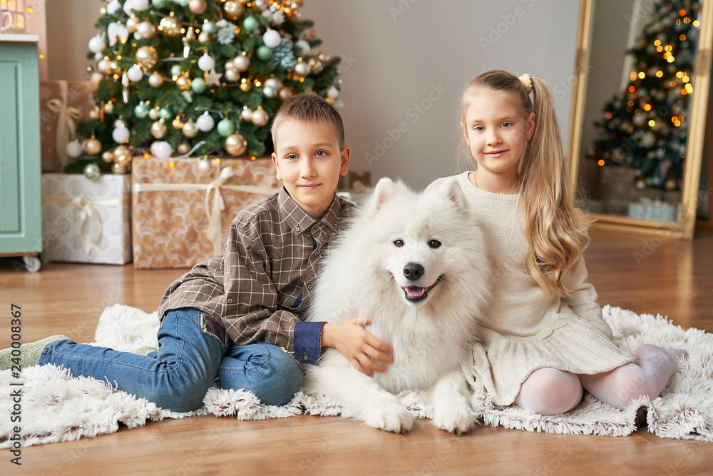 Christmas Children with dog Samoyed . Christmas, winter and people concept.Children playing with puppies under Christmas tree. Christmas greeting card. Happy New Year! New Year at home