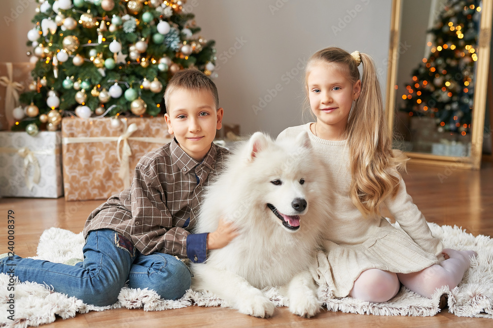 Christmas Children with dog Samoyed . Christmas, winter and people concept.Children playing with puppies under Christmas tree. Christmas greeting card. Happy New Year! New Year at home Christmas Children with dog Samoyed . Christmas, winter and people concept.Children playing with puppies under Christmas tree. Christmas greeting card. Happy New Year! New Year at home