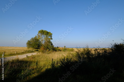 Landschaft im Nationalpark Vorpommersche Boddenlandschaft zwischen Müggenburg bei Zingst, Osterwald und Sundischer Wiese, Mecklenburg Vorpommern, Deutschland