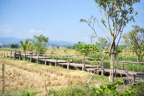 a rural scene and wood bridge
