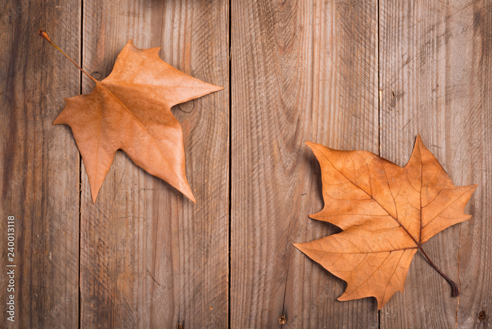 Autumn leaves on a wooden background Autumn leaves on a wooden background