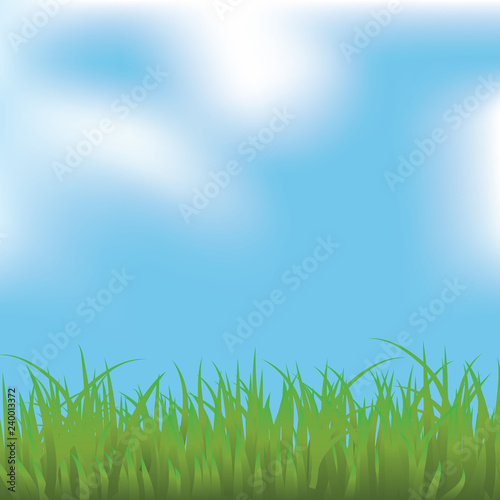 Background-Hazy Blue Sky with a Grassy Forground