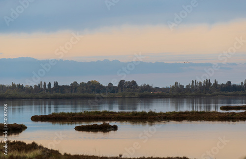 Natural Park of the Po delta in Italy