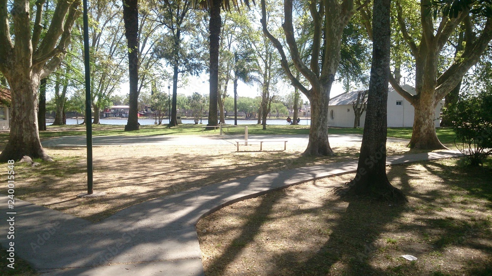 arboles arboles