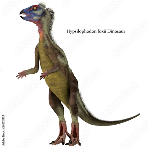Hypsilophodon Dinosaur on White with Font - Hypsilophodon was a omnivorous ornithopod dinosaur that lived in England during the Cretaceous Period. photo