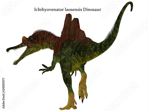 Ichthyovenator Dinosaur Tail with Font - Ichthyovenator was a carnivorous theropod dinosaur that lived in Laos, Asia during the Cretaceous Period. © Catmando