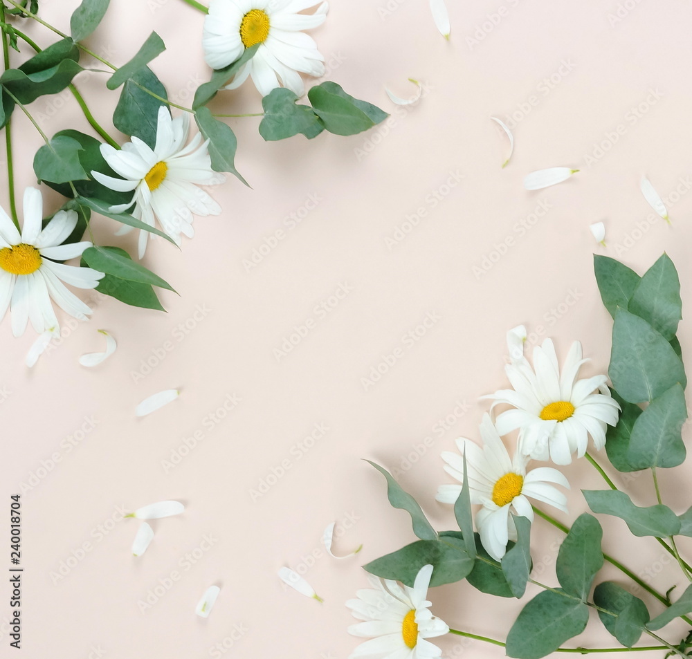 Flowers composition background. bouquet of flowers camomiles and green eucalyptus branches on pale beige background. Flowers frame. Valentine's day, women's day concept.Top view. Copy space Flowers composition background. bouquet of flowers camomiles and green eucalyptus branches on pale beige background. Flowers frame. Valentine's day, women's day concept.Top view. Copy space