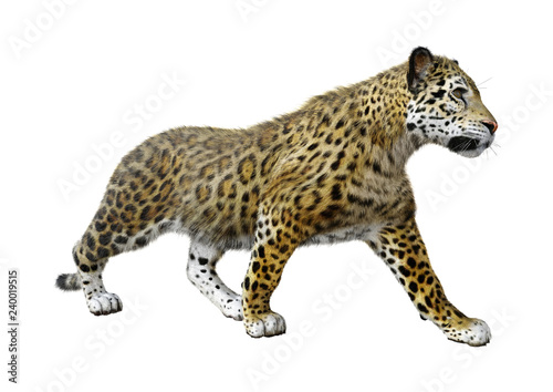 Fototapeta Naklejka Na Ścianę i Meble -  3D Rendering Big Cat Jaguar on White