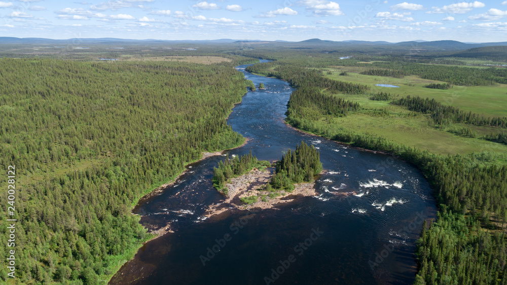 Aerial view of the forest and river at summer. Beautiful sunny day.