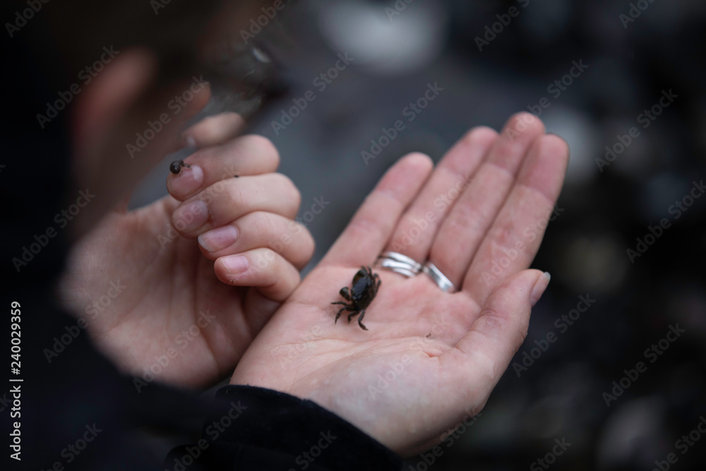 Obraz premium hands of a woman