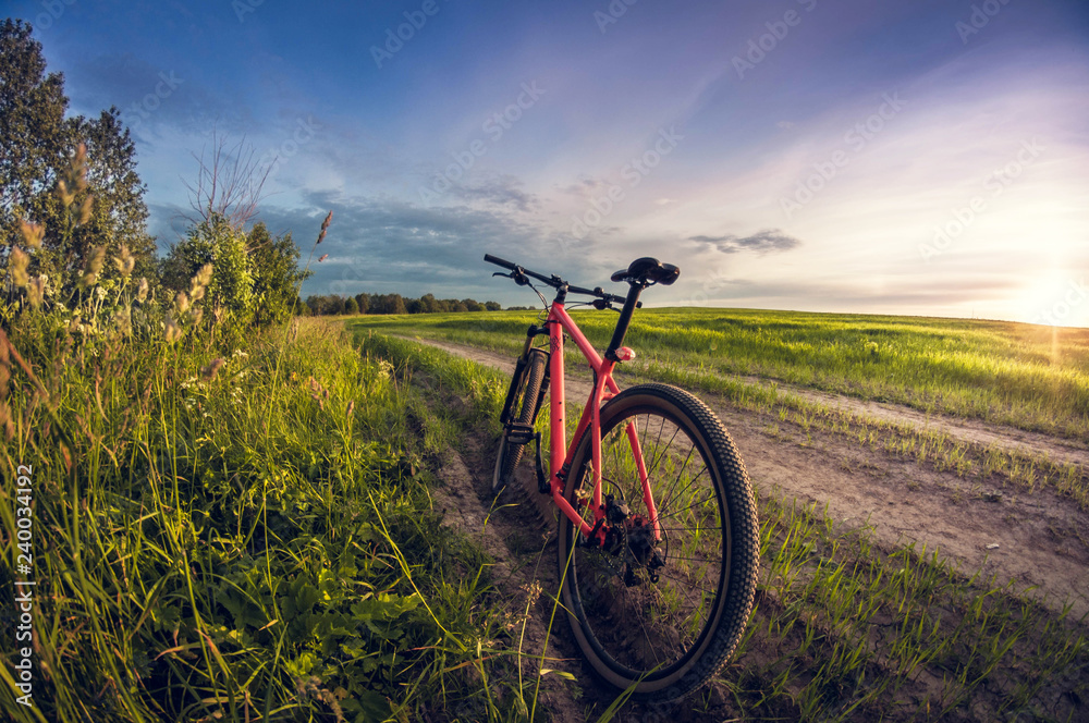Bicycle near the road in the field at sunset Bicycle near the road in the field at sunset