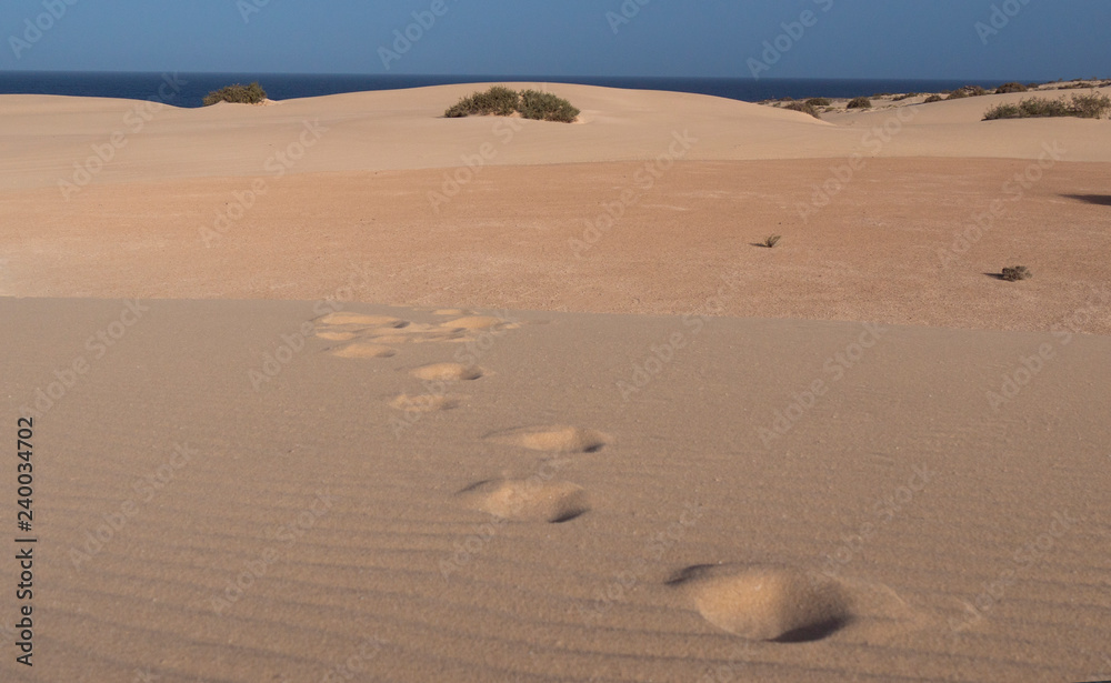 Desert Footprints